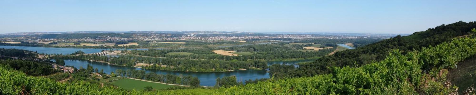 L'Ecrin De Vert Saint-Alban-du-Rhône Værelse billede